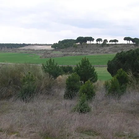 帕卡之家住宿加早餐旅馆 * 科卡