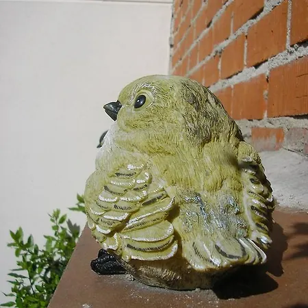 Oda ve Kahvaltı Casa De La Paca Coca