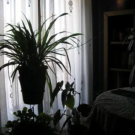 Casa De La Paca Bed & Breakfast *