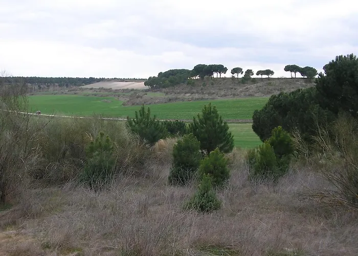 Casa De La Paca 3* كوكا