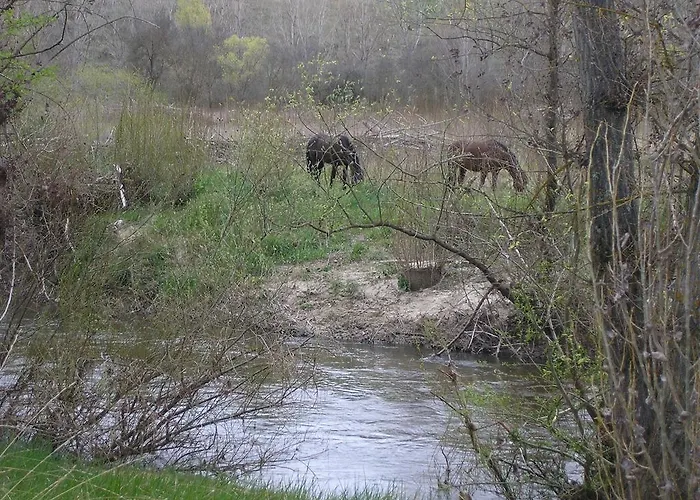 Bed and breakfast Casa De La Paca