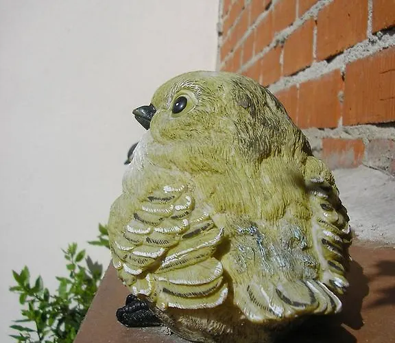 Bed and breakfast Casa De La Paca Coca