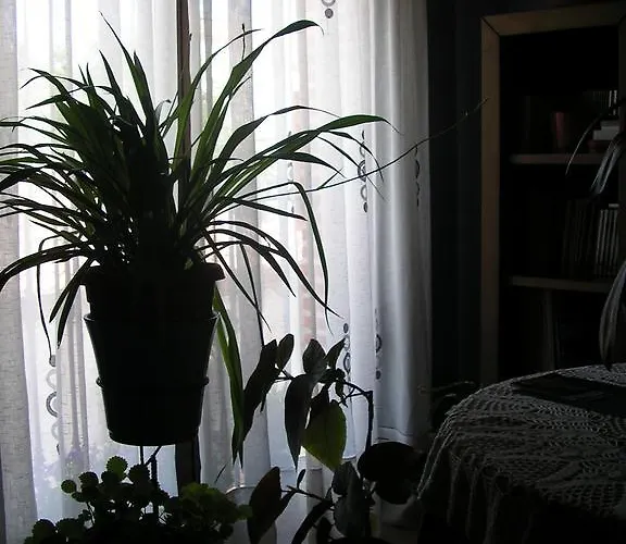 Casa De La Paca فندق مبيت وإفطار 3*