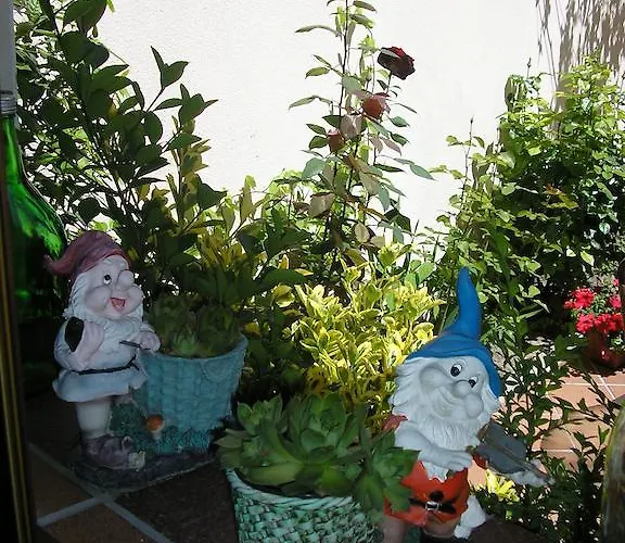 Casa De La Paca كوكا